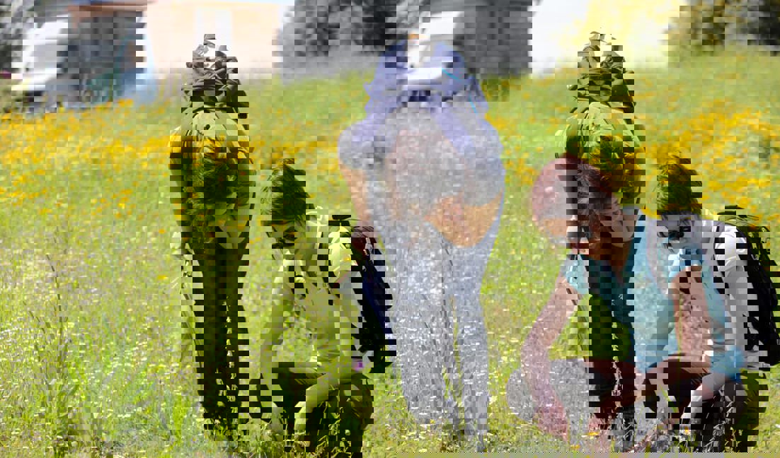Biodesktop1