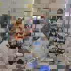 השתלמות לצוות מעבדות ההוראה במכללה – העשרה בנושא טיפול בתרביות תאים