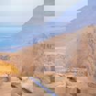 סמינר - האדם וחיות אחרות: סוגיות מרכזיות באתיקה סביבתית