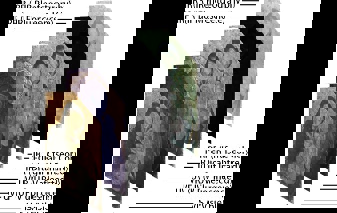 Multispectral Pigment Analysis (A. Cosentino)