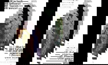 Multispectral Pigment Analysis (A. Cosentino)