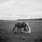 Mis(s)placed - תערוכה לנועה לבנת-אגמון