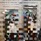 מצבי חירום עיניים במרכז הרפואי הדסה במחלקת מיון: מחקר רטרוספקטיבי