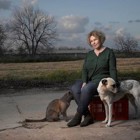 נקודת מפגש: רלי אברהמי