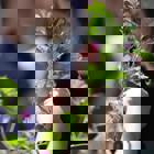 סמינר: "הנדסה גנטית של צמחים והשפעתה על האדם"