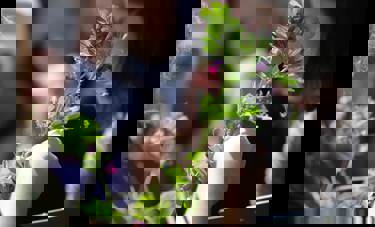 איסוף דגימות צמחים במסגרת פרויקט המחקר 'ביו-אקפלור'