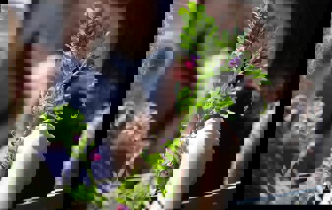 איסוף דגימות צמחים במסגרת פרויקט המחקר 'ביו-אקפלור'