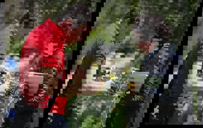 איסוף דגימות צמחים במסגרת פרויקט המחקר 'ביו-אקפלור'