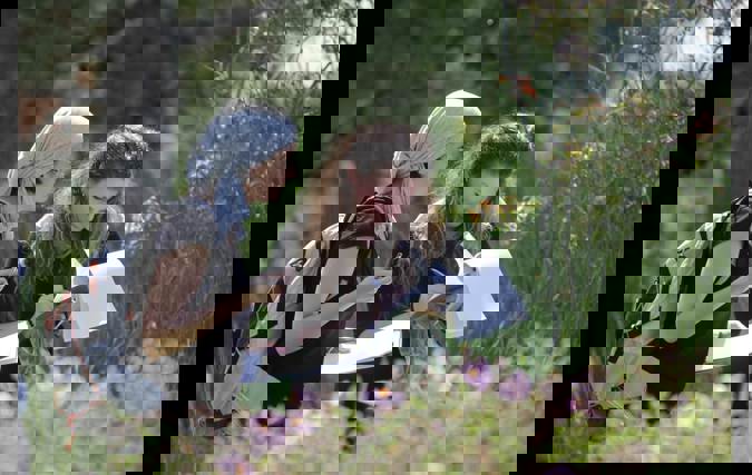 איסוף דגימות צמחים במסגרת פרויקט המחקר 'ביו-אקפלור'