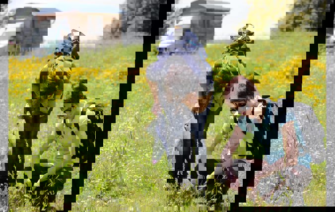 איסוף דגימות צמחים במסגרת פרויקט המחקר 'ביו-אקפלור'