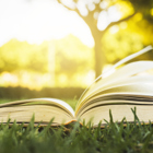 הזמנה להרצאת צהריים אקדמי בנושא אגנוזיה ראייתית