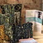 בוגרי המכללה בשבוע העיצוב במילאנו