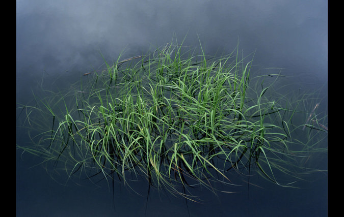 CACHE MEMORY | דנה סטרלינג