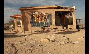 פאטה מורגנה | מיטל כהן