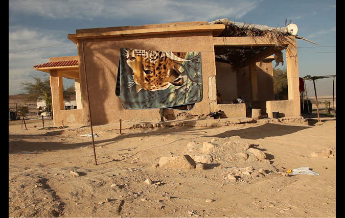 פאטה מורגנה | מיטל כהן