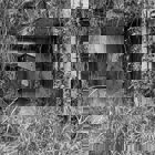 אל תוך החללים