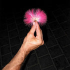 New Photography Exhibit: David Adika