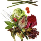 תערוכה - נלי שפר – תאווה לעיניים