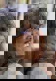 סיגל קולטון
