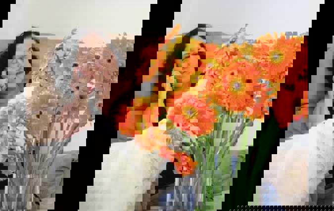 צילום: חיים קול