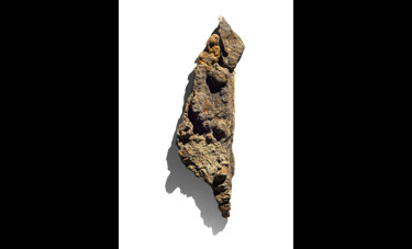 צילום: יורם רשף The Jews State