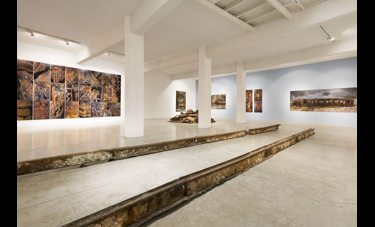 Swan Song Instalation צילום: יורם רשף