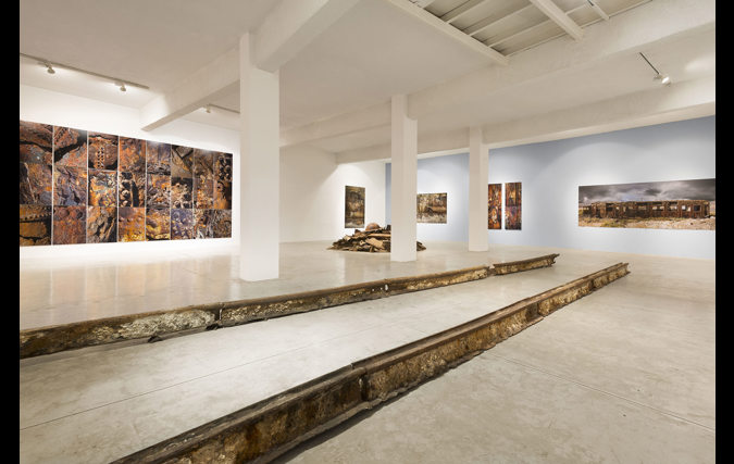 Swan Song Instalation צילום: יורם רשף