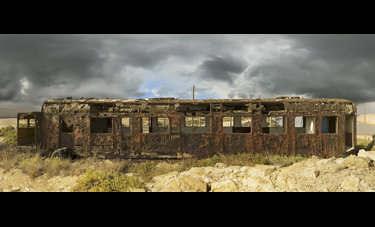 צילום: יורם רשף Swan Song 1300