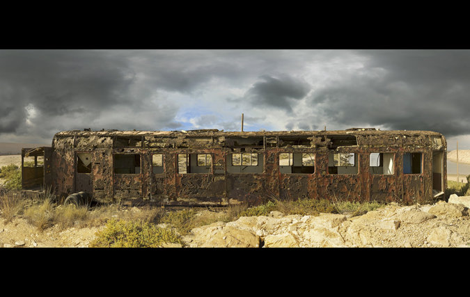 צילום: יורם רשף Swan Song 1300