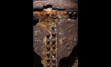 צילום: יורם רשף Golden Cross