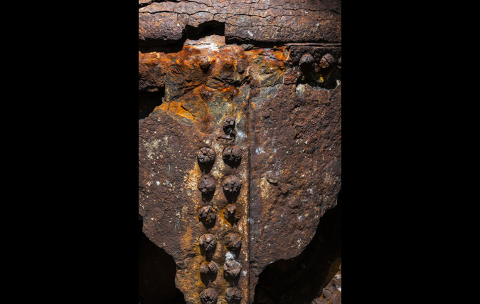 צילום: יורם רשף Golden Cross