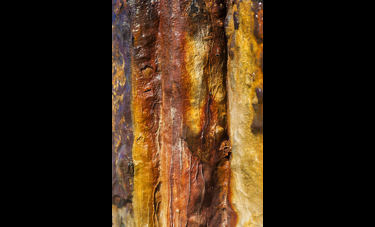 צילום: יורם רשף Blood Bank