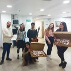 מאירים את חג החנוכה