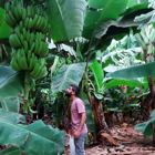 סיור מפעלים, קורס טכנולוגיה בהנחיית עטר ברוש ואבי פייביש