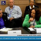 דיון בכנסת בהשתתפות יעל קטלן, המשרד הבינלאומי