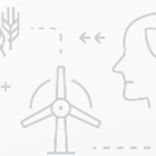 השפעת תאורה מלאכותית בלילה על התנהגותם של חרקים