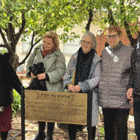 שורשים של זיכרון