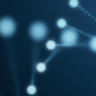 סמינר: זבוב החייל השחור - מקור החלבון של העתיד