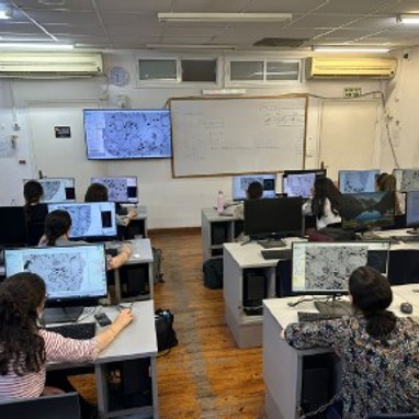 סטודנטית לומדות בכיתה