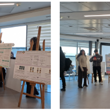 פרויקטי גמר ביוטכנולוגיה 2026