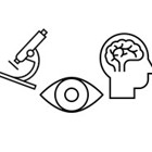 ליקויים ראייתיים שמאפיינים פגיעות מוח נרכשות- אבחון וטיפול