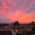 סטודנטים לניהול במסלול ניהול מערכות תיירות מארגנים סיור בחיפה