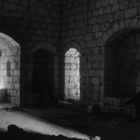 FARED – BAHAA TURK | קמיל תורג’מן