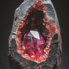 ניוזלטר החוג לפוליטיקה ותקשורת- גליון ינואר 2025