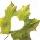 יום סמינרים והצגת פרויקטים