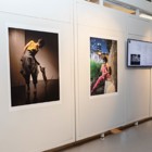 אירוע הפתיחה של תערוכה צילום "פעימות של אור"