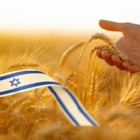 חוגגים שבועות כחול לבן