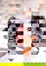 דני אדנו  אבבה  